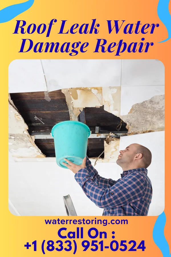 Roof Leak Water Damage Repair in Clay, KY