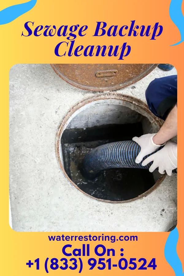 Sewage Backup Cleanup in Clay, KY